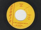 ROCKABILLY 45 - RAY BURDEN - A HOT-RODDERS DREAM - HEAR 1960 PROMO ADONIS