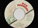 Roots Reggae 45 - Yvonne Sterling - Oh Jah - S&S Jamaica - mp3