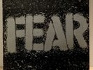 Fear - The Record - Vinyl LP - Slash Records - 1982