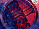 It Bites - Thankyou And Goodnight - Used Vinyl Record - B12230A