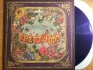 Panic At The Disco rare purple colored Pretty Odd 2013  vinyl lp