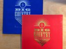 VINYL BIG COUNTRY The Crossing MERCURY MERS 27 Inner UK Original 2 x LP EX