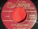 The Sensations - Little Wallflower / Such A Love - Atco - RARE DOOWOP SOUL 45