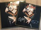 EAGLES OF DEATH METAL - Zipper Down *LP* VINYL SIGNED Queens Of The Stone Age