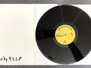 OINGO BOINGO Dead Man's Party vinyl LP test pressing #2 2023 Danny Elfman