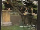 THE BEATLES: THE  
