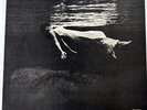 BILL EVANS UNDERCURRENT SOLID STATE SR3084 JAPAN VINYL LP