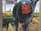 Blink 182 - Dude Ranch LP