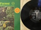 Walter Wanderley - Rain Forest  LP - 1966 Verve Records, V6-8658, Stereo - VG+