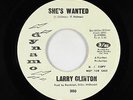 Northern Soul 45 - Larry Clinton - She's Wanted - Dynamo - mp3 - rare