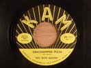 Big Don Adams  Grasshopper Pizza/It Won't Be Long  Garage Don & The Holidays