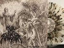 NunSlaughter – Devils Congeries Vol. 1 LP 2013 Hells - HELLSLP101 NM/NM [CLEAR]