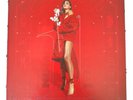 Number 1 Angel / Pop 2 Vinyl - Charli XCX (RARE)