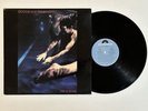 Siouxsie And The Banshees –The Scream (POLD 5009) Vinyl LP Original UK PRESS