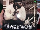Raekwon Immobilarity Vinyl LP WLP Promo Rare Wu Tang Clan