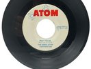 2 The Modulation Corporation Worms What To Do 45 Vinyl 60's Garage ATOM Record