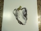 White Pepper by Ween (Vinyl, 2010)