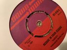 Dandy , Reggae In Your Jeggae , Reggae Shuffle   , 7” Down