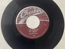 Willie Dixon DOO WOP BLUES 45 The Pain In My Heart / 29 Ways CHECKER VG++ HEAR