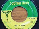 WHAT A AGONY - The CONQUERORS (Sufferers Rock Steady)/ JAM SESSION - Baba Brooks