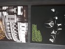 Creedence Clearwater Revival: Live At Woodstock & At The Royal Albert Hall 3LP's