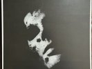 ‘Sister’ by In Solitude (2013)