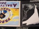 Procol Harum “A Whiter Shade Of Pale / A Salty Dog” Orig 1972 U.K. vinyl 2Lp
