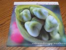 Fiona Apple Extraordinary Machine 2005 LP 2x vinyl Epic Records 86683 Excellent