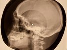 Elvis Presley - Soldier Boy X-RAY SKULL BONES RECORDS USSR 223