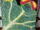 Catapilla Changes Krautrock Jazz-Rock Prog German Vertigo Swirl Promo Rare Vinyl