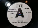 VERY RARE  THE RAY MCVAY SOUND REVENGE - RAUNCHY MOD 7