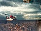 Depeche Mode - A Broken Frame - LP  Vinyl /// Neu & OVP /// Gatefold
