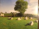 THE KLF - Chill Out - 12