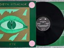 N' MINT RARE ROBYN HITCHCOCK EYE 1990 GLASS FISH FRANCE LP ROCK FOLK PSYCH INDIE