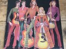FOTHERINGAY - S/T - 1st PRESS - UK - PINK ISLAND - GF - EX (A1B)