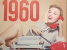 LP Die Schlager des Jahres 1960 limitiert rar Vinyl Platte Edition limited color