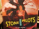 Core by Stone Temple Pilots SPLATTER VINYL LP NEW SEALED MINT