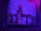Grateful Dead : Dead in Cornell Vol 1 + 2 VINYL 5.8.77