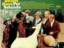 BEACH BOYS PET SOUNDS EARLY MONO PRESS CAPITOL RAINBOW SCRANTON T 2458