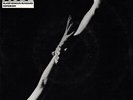 Depeche Mode BLASPHEMOUS RUMOURS Australian 1985 POSSUM/MUTE RARE 7