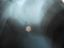 USSR bone record X RAY PLATE Led Zeppelin single immigrant song boot leg