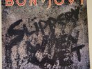 Bon Jovi Slippery When Wet  LP Record 1986 Vinyl