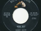 SAMMY SALVO - Wolf Boy / My Perfect Love - RCA VICTOR - Rockabilly RnR 45