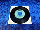 The Fugitives - You Can't Blame That On Me  FENTON 2075 GARAGE ORIGINAL 1966 EX