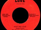 THE SIZZLING STARLISTICS Ain't No Love 45 Rare 1973 AL Crossover Sweet Soul