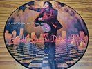Michael Jackson Blood On The Dance Floor Picture Disc. Bootleg.