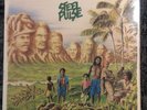 Steel Pulse “Tribute To The Martyrs” Vinyl Album 1979 Island Records
