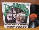 LP John Hartford / Nobody Knows What You Do / 1976 1st Issue Flying Fish FF-028