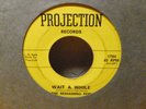 The Remaining Few-Projection 45-Wait a While-Super Rare Psych Garage 45-Clean