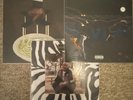 Three Freddie Gibbs Vinyls  Piñata (2014) Bandana (2018) and Alfredo (2020)